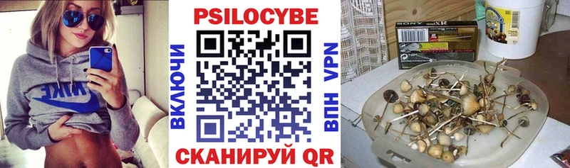 KRAKEN вход  Калачинск  Галлюциногенные грибы MAGIC MUSHROOMS 